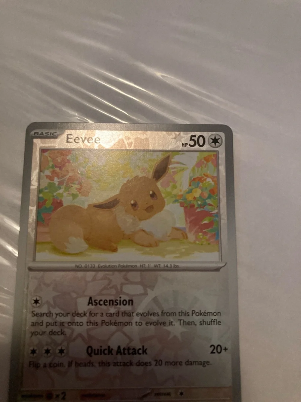 Pokemon Eevee Holographic Card - Silver, Brown, Cream common